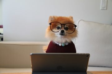 comment-bien-choisir-son-hebergeur-web